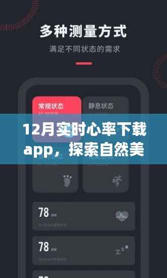 12月实时心率APP下载，探索内心平和之旅