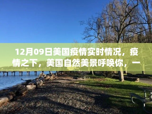 美国疫情下的自然美景探索,寻找内心平静的奇妙旅程(实时疫情更新)