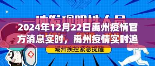 禹州疫情实时追踪，官方消息获取指南与应对步骤（初学者与进阶用户必读）