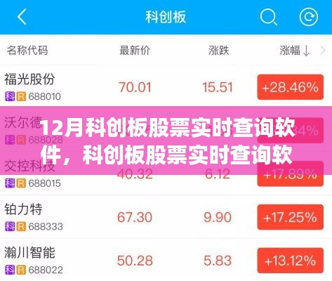 科创板股票实时查询软件使用指南，适合初学者与进阶用户的12月版查询工具
