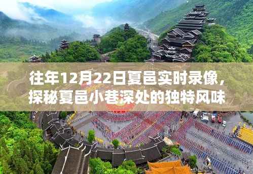 探秘夏邑小巷深处的独特风味，往日12月22日实时录像记录
