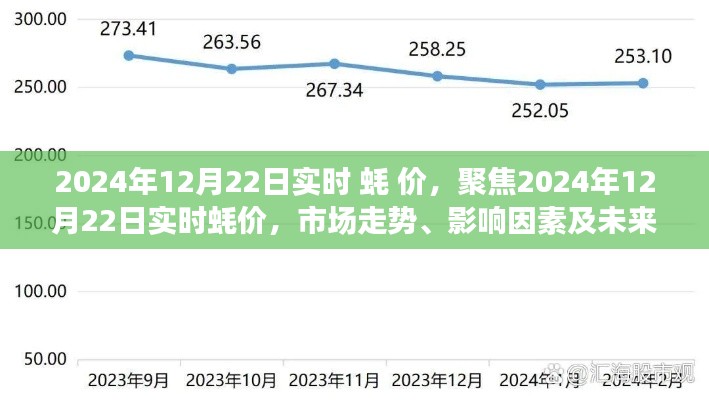 聚焦2024年12月22日实时蚝价,市场走势、影响因素及未来展望分析