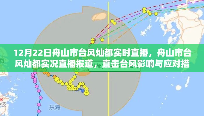 舟山市台风灿都实况直播报道,台风影响与应对措施直击