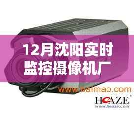 孜孜不倦 第3页