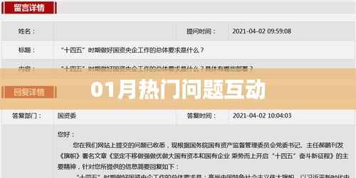 热门问题互动大解析,一月热议话题盘点