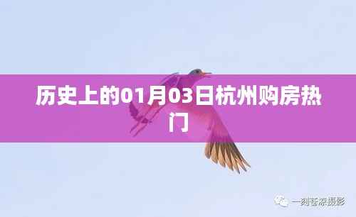 历史上的杭州购房热门日,一月三日回顾