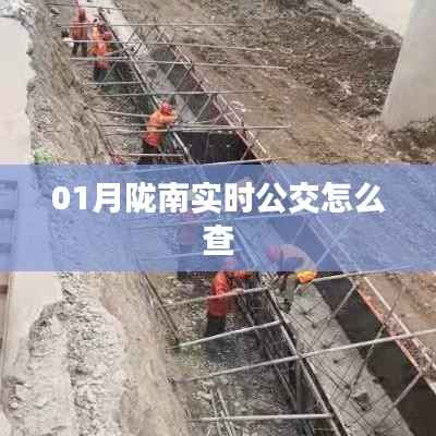 陇南实时公交查询攻略,轻松掌握公交动态