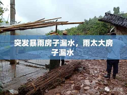 突发暴雨房子漏水，雨太大房子漏水 
