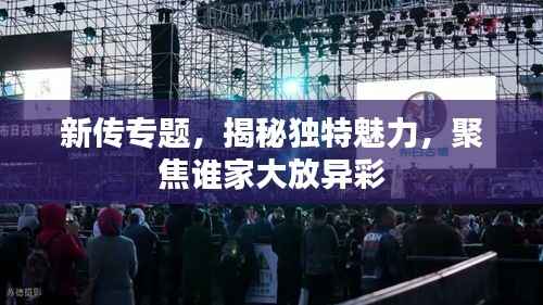 新传专题,揭秘独特魅力,聚焦谁家大放异彩