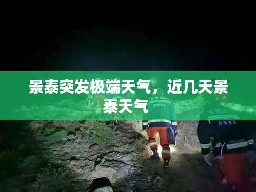 轻徙鸟举 第3页