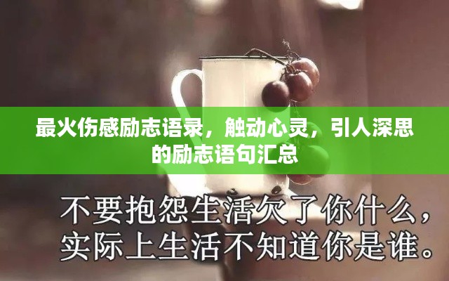 最火伤感励志语录，触动心灵，引人深思的励志语句汇总