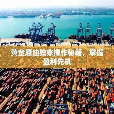 黄金原油独家操作秘籍,掌握盈利先机