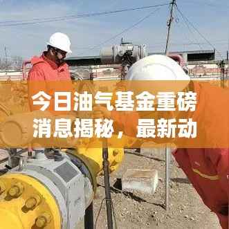 今日油气基金重磅消息揭秘，最新动态一网打尽