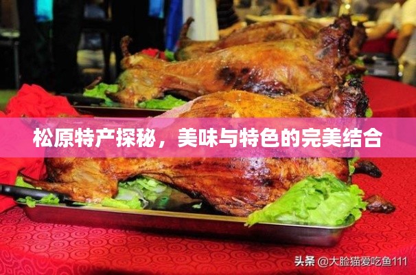 松原特产探秘，美味与特色的完美结合