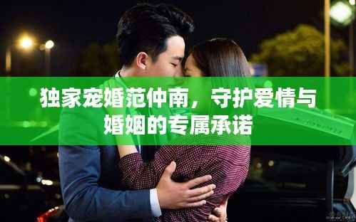 独家宠婚范仲南，守护爱情与婚姻的专属承诺