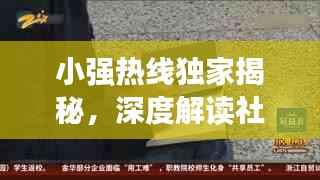 小强热线独家揭秘，深度解读社会热点话题