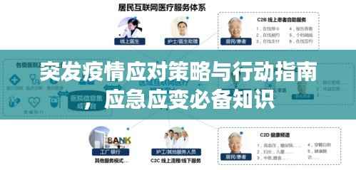 突发疫情应对策略与行动指南，应急应变必备知识