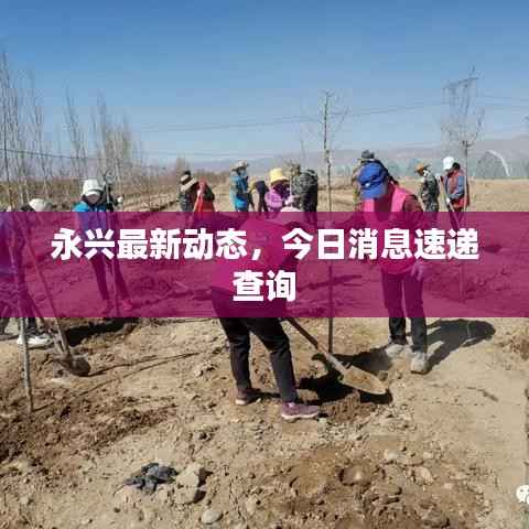 永兴最新动态,今日消息速递查询