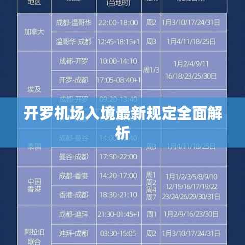 开罗机场入境最新规定全面解析