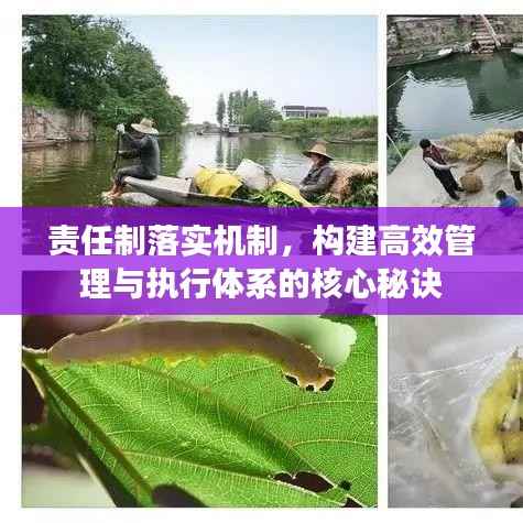 囫囵吞枣 第2页