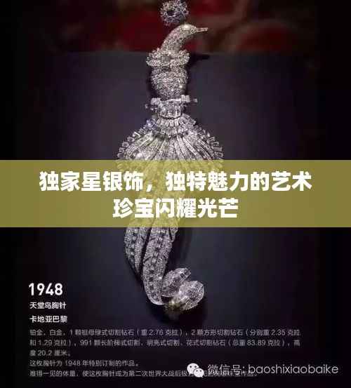 独家星银饰，独特魅力的艺术珍宝闪耀光芒