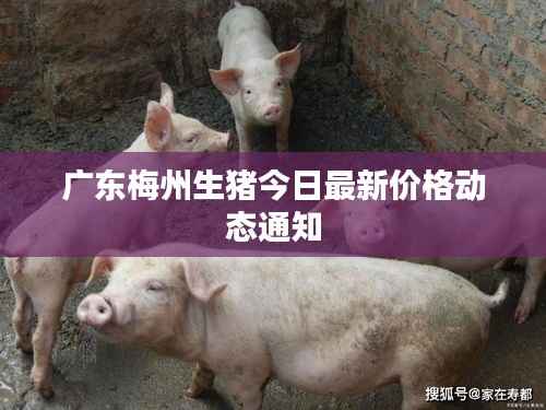 飞沙走石 第3页