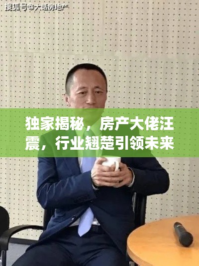 独家揭秘，房产大佬汪震，行业翘楚引领未来