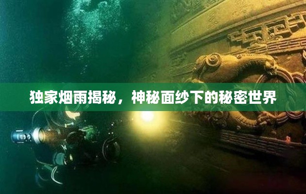 独家烟雨揭秘,神秘面纱下的秘密世界