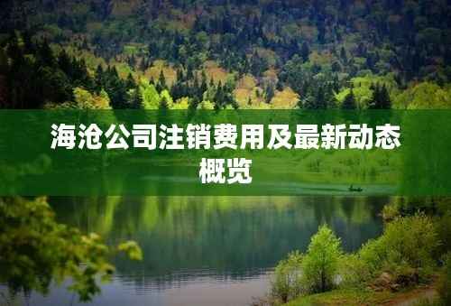 海沧公司注销费用及最新动态概览