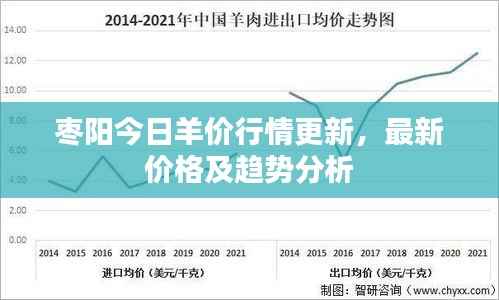 枣阳今日羊价行情更新,最新价格及趋势分析
