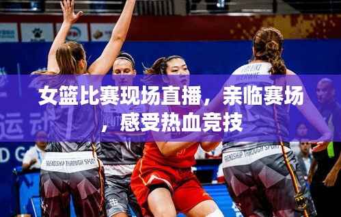 女篮比赛现场直播,亲临赛场,感受热血竞技