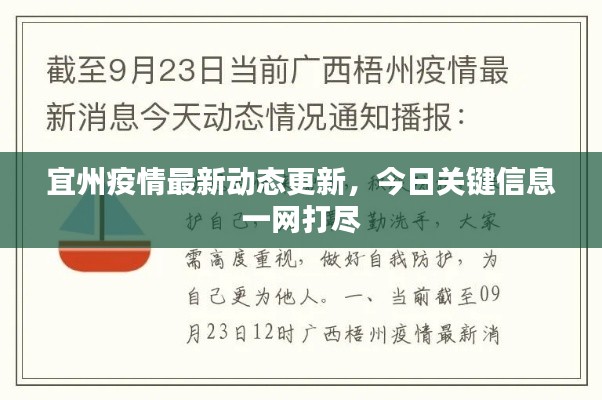宜州疫情最新动态更新,今日关键信息一网打尽