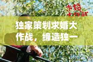 独家策划求婚大作战,缔造独一无二的浪漫之旅