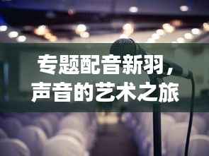 专题配音新羽，声音的艺术之旅与未来探索