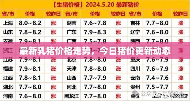 最新乳猪价格走势,今日猪价更新动态