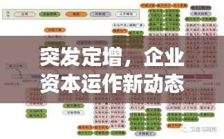 突发定增，企业资本运作新动态引发市场热议与反应