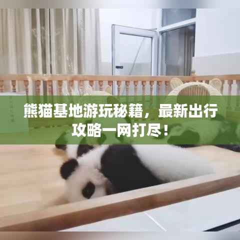 熊猫基地游玩秘籍,最新出行攻略一网打尽!