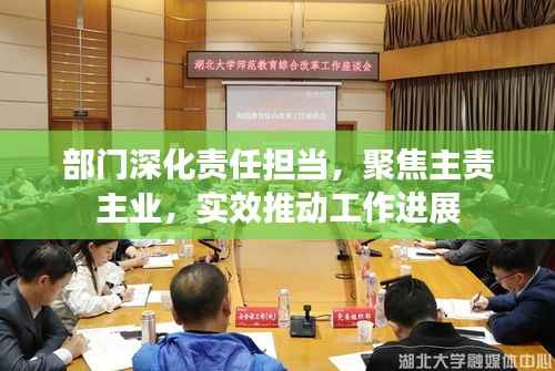 部门深化责任担当，聚焦主责主业，实效推动工作进展