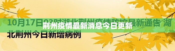 荆州疫情最新消息今日更新