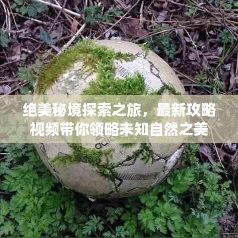 绝美秘境探索之旅,最新攻略视频带你领略未知自然之美