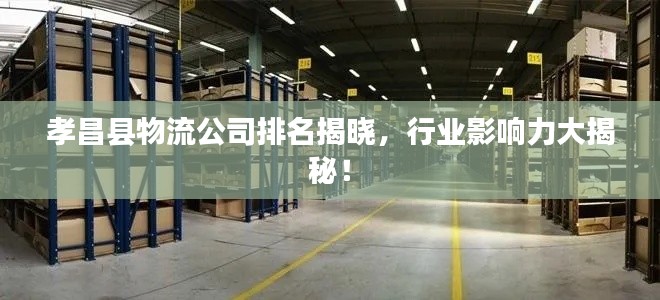 孝昌县物流公司排名揭晓,行业影响力大揭秘!