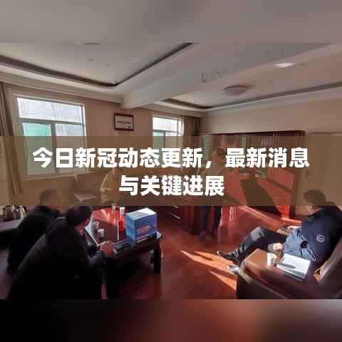 今日新冠动态更新,最新消息与关键进展
