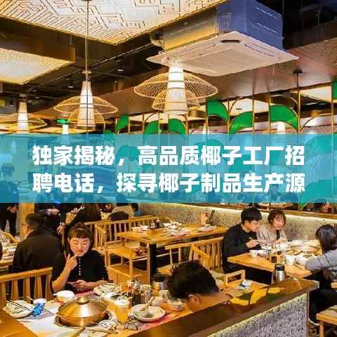 独家揭秘,高品质椰子工厂招聘电话,探寻椰子制品生产源头之旅!