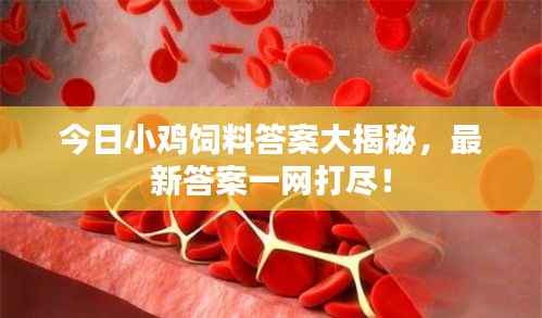 今日小鸡饲料答案大揭秘,最新答案一网打尽!