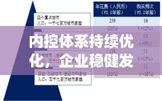 内控体系持续优化,企业稳健发展的核心驱动力