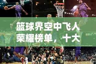 木乾鸟栖 第2页