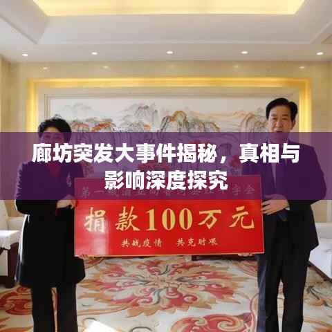 廊坊突发大事件揭秘，真相与影响深度探究