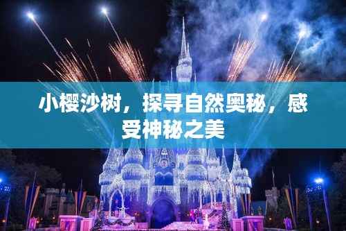 小樱沙树,探寻自然奥秘,感受神秘之美