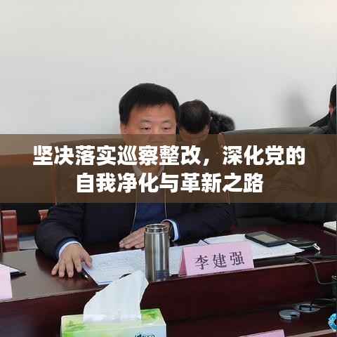 坚决落实巡察整改，深化党的自我净化与革新之路