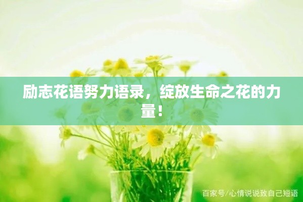 励志花语努力语录，绽放生命之花的力量！
